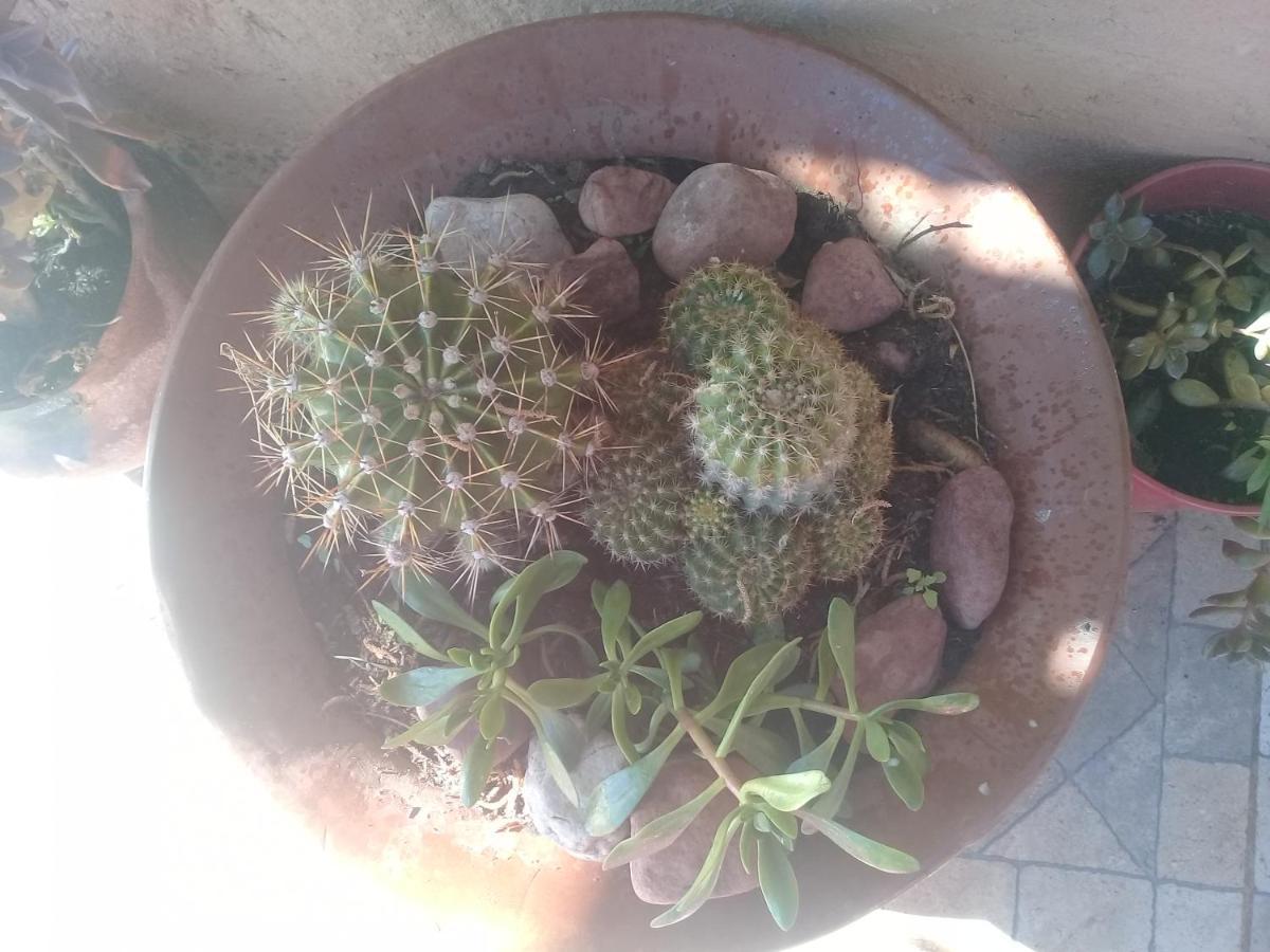 Cabana El Cardon,Casita En El Campo Quebradeno Humahuaca Εξωτερικό φωτογραφία