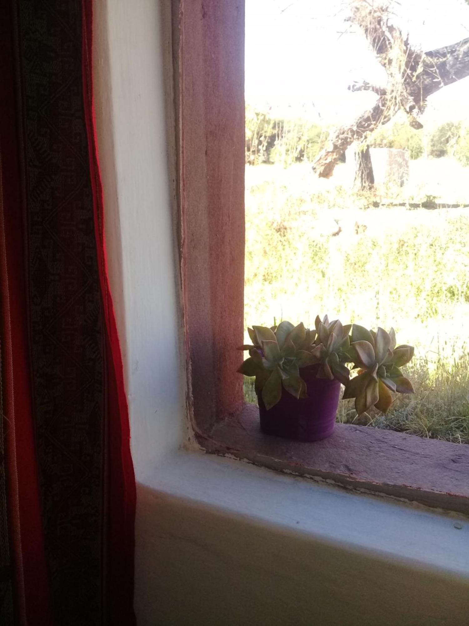 Cabana El Cardon,Casita En El Campo Quebradeno Humahuaca Εξωτερικό φωτογραφία