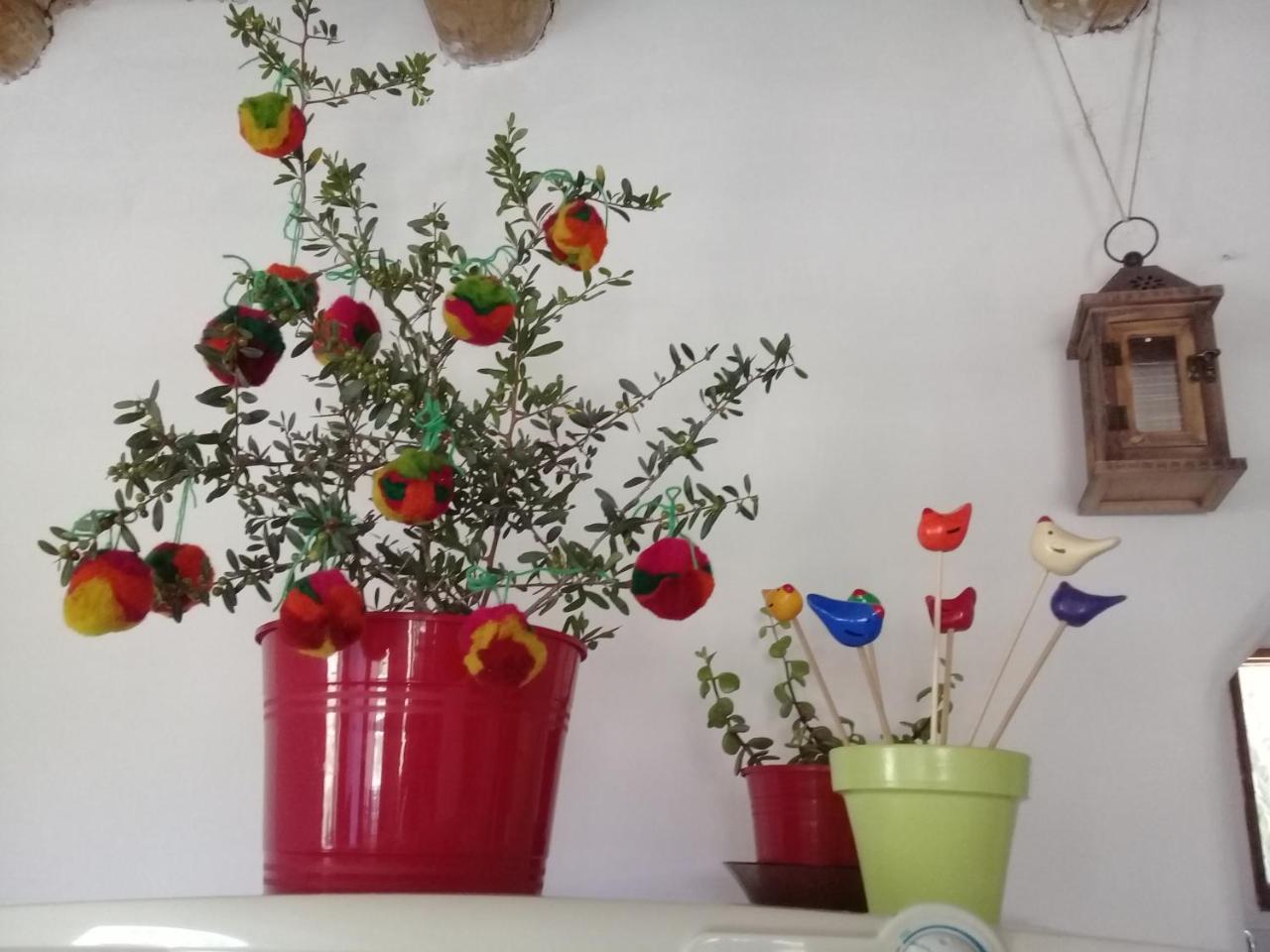 Cabana El Cardon,Casita En El Campo Quebradeno Humahuaca Εξωτερικό φωτογραφία