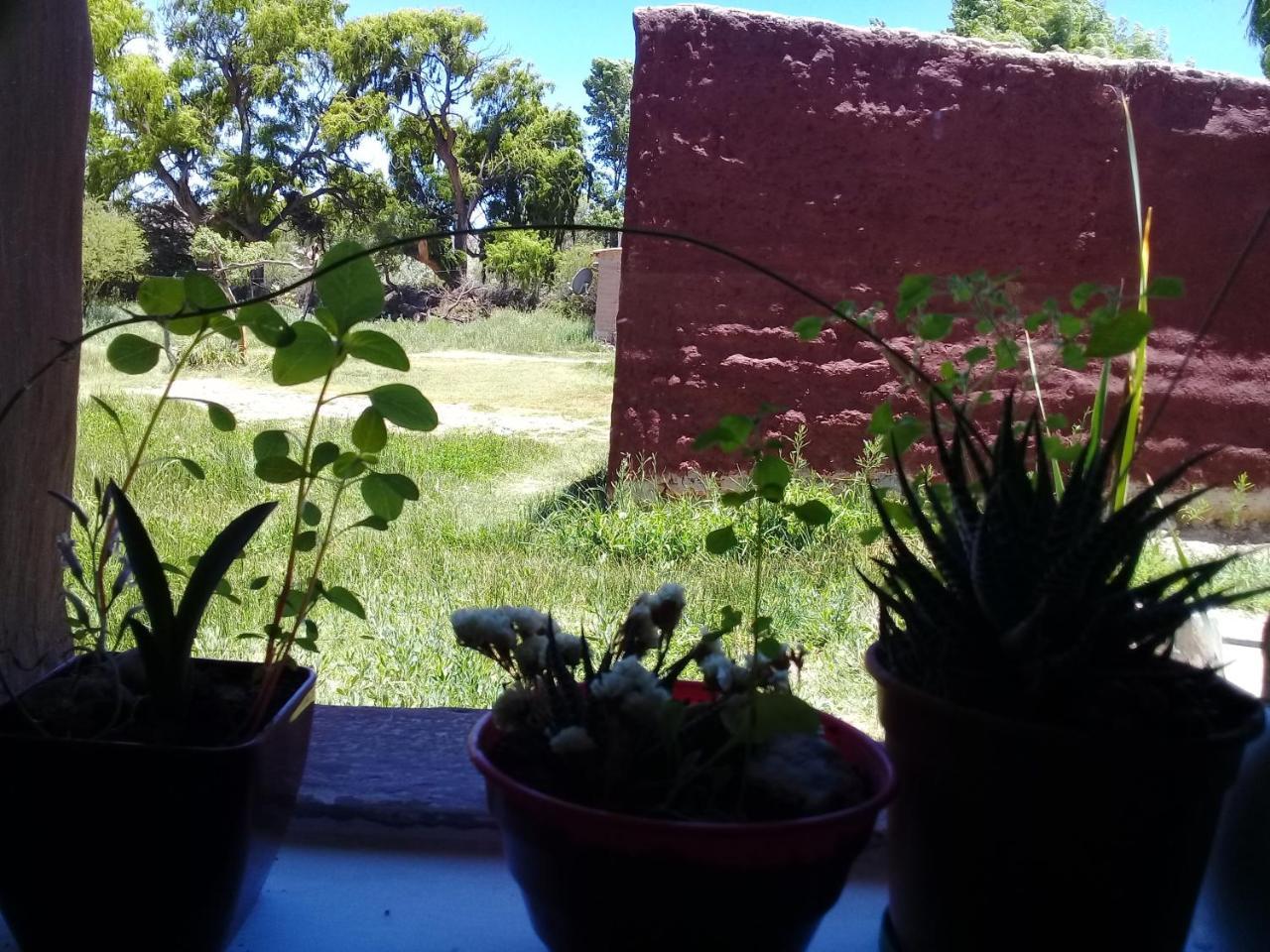 Cabana El Cardon,Casita En El Campo Quebradeno Humahuaca Εξωτερικό φωτογραφία