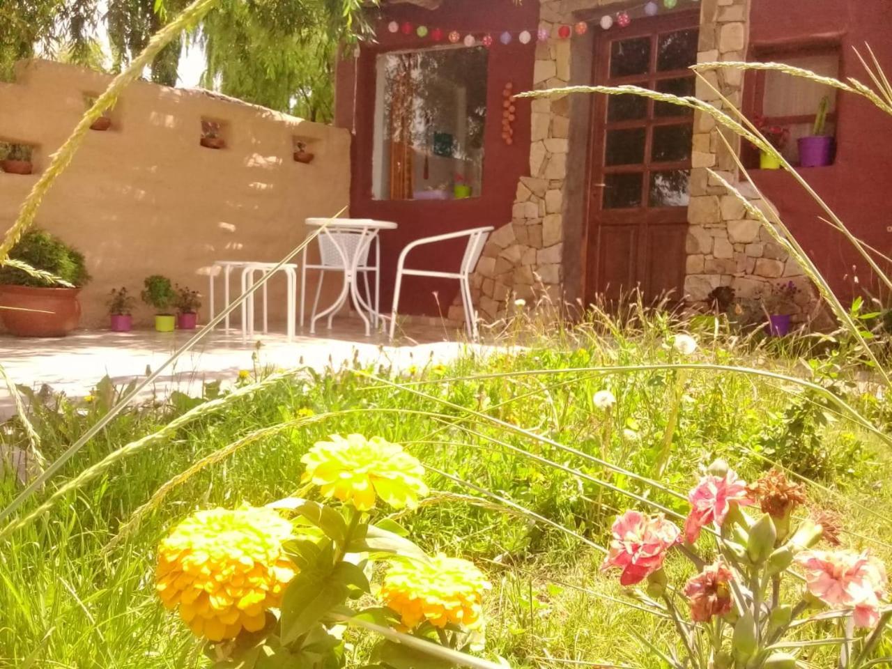 Cabana El Cardon,Casita En El Campo Quebradeno Humahuaca Εξωτερικό φωτογραφία